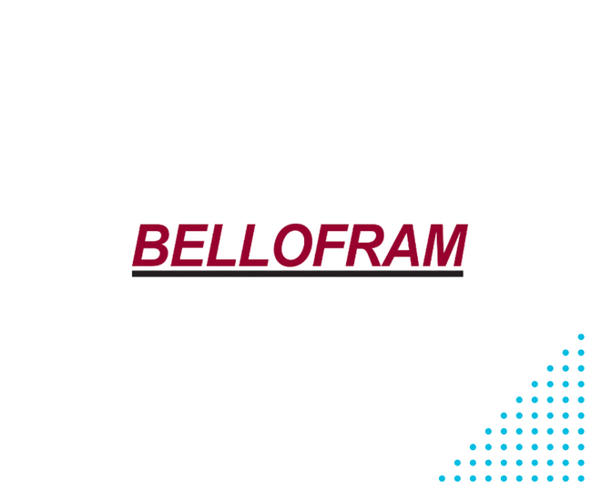 Bellofram Precision Controls